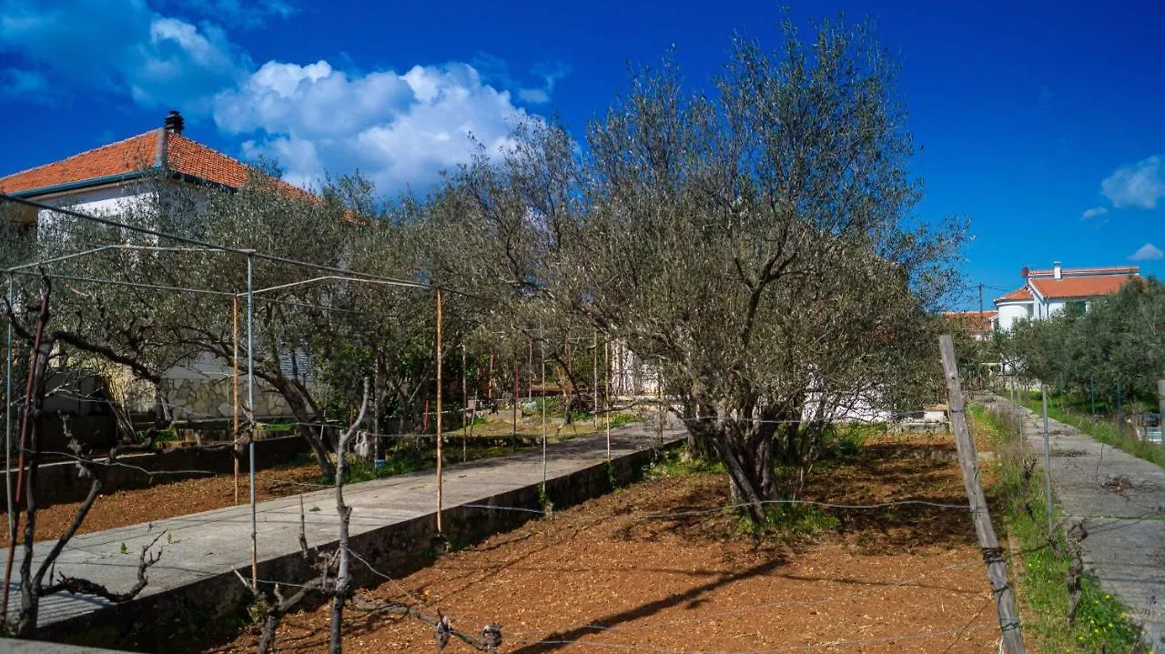 Vecchia Oliva,Kuljica Villa Kukljica 0*,  Croatia