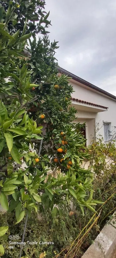 Vecchia Oliva,Kuljica Villa Kukljica 0*,  Croatia